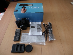 Panasonic Lumix DC-G100DV. красивая вещь, со стандартным зумом, 3 батареи, 2 зарядных устройства и карта памяти Sandisk 64GB.