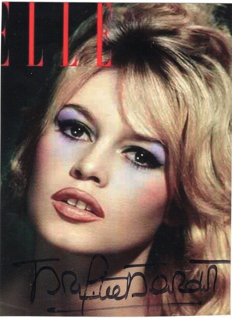 2025年最新】Yahoo!オークション -(brigitte ブリジット