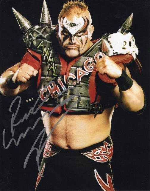 2025年最新】Yahoo!オークション -アニマルウォリアーの中古品