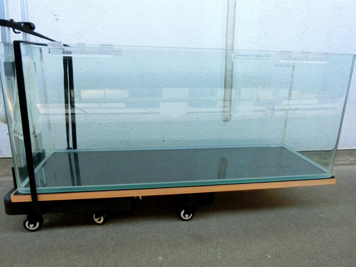 Yahoo!オークション -「水槽 引き取り」の落札相場・落札価格