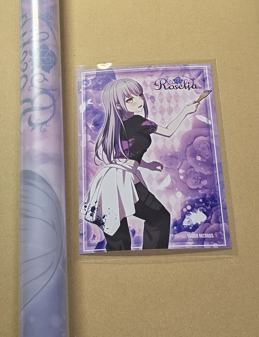 店舗特典のみ【戸山香澄】写真 バンドリ カバーコレクションVol