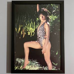 ■由美かおる■「セクシーグラビア」/A4額装品/撮影)池谷朗/ハイレグ水着/ヒョウ柄/女優/昭和レトロ/貴重写真/印刷物/インテリア G365s