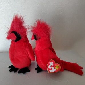 ◆2点セット◆1999年 ty ビーニーベイビーズ Beanie Babies Mac the Cardinal マック・ザ・カーディナル ぬいぐるみ 15cm 紙タグ付き