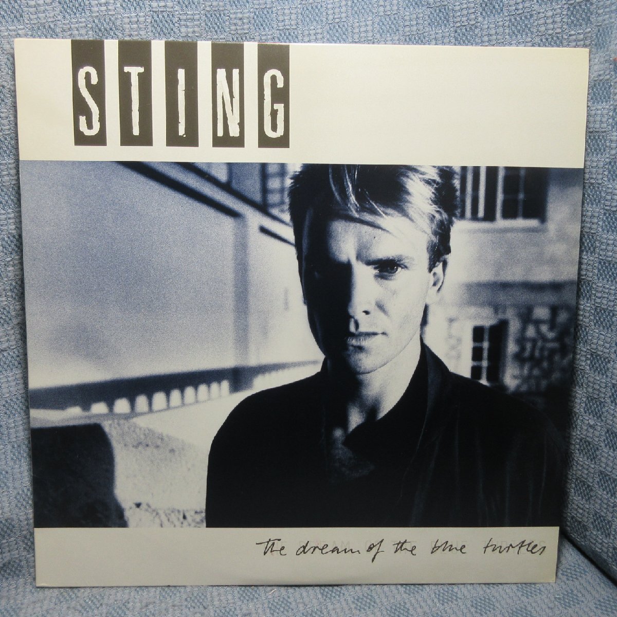 2025年最新】Yahoo!オークション -スティング(レコード)の中古品