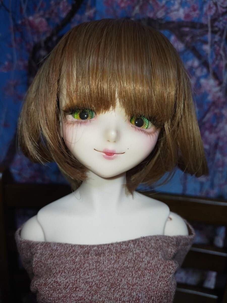 Yahoo!オークション -「dd ヘッド」(パーツ) (ドルフィー