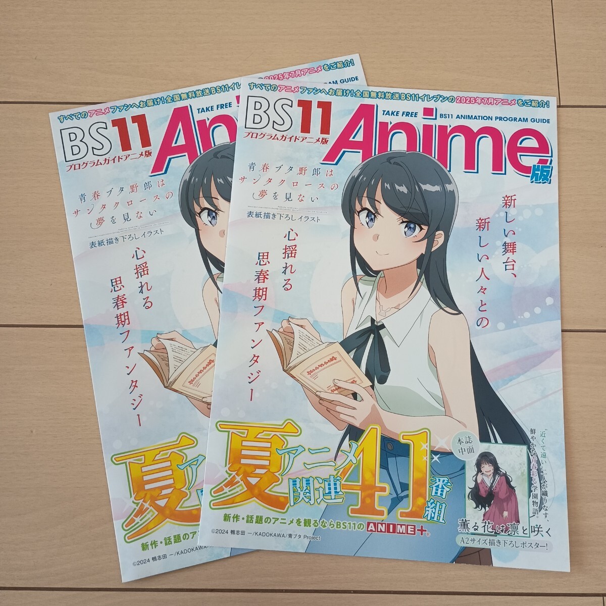 新品 非売品  青春ブタ野郎 ポスター 青春ブタ野郎 A3 ハーフポスター 非売品 12種セット - メルカリ