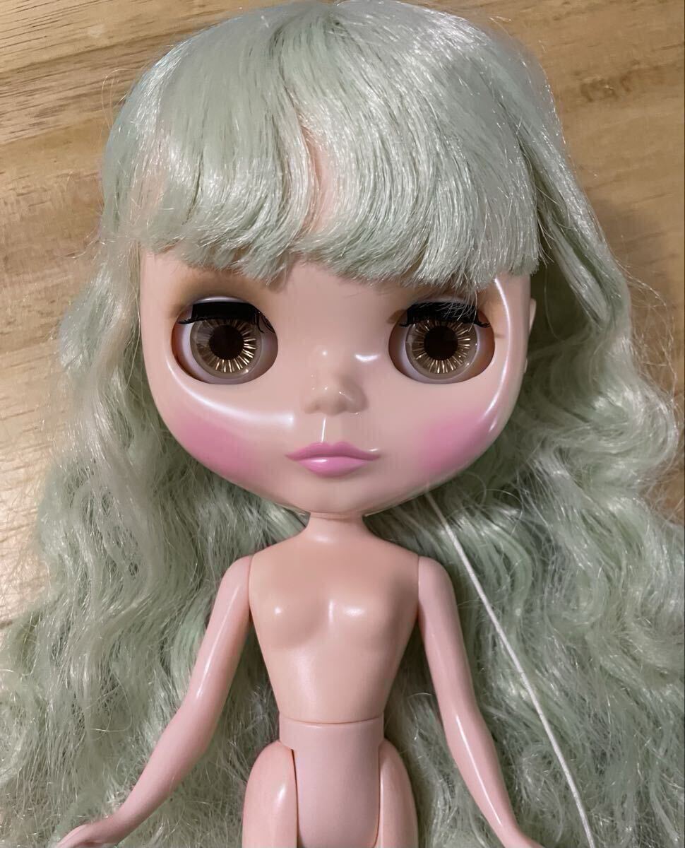 新品未開封　ブライス  テーラーギブソン 新品未開封 ブライス テーラーギブソン