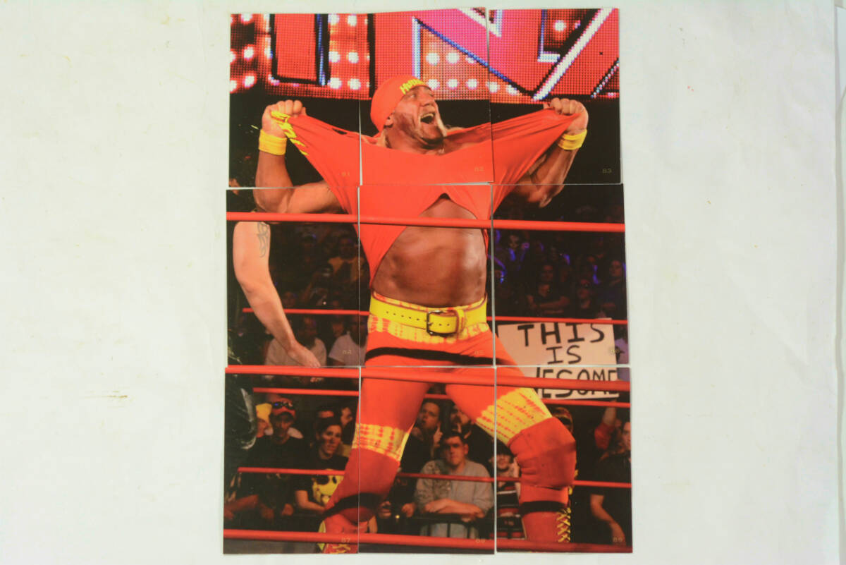 2025年最新】Yahoo!オークション -ハルク・ホーガン