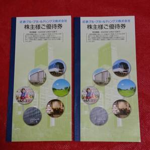 2冊セット 近鉄 株主優待券 冊子 有効期限2025/12/31 株主様ご優待券 割引券 志摩スペイン村 志摩グリーンアドベンチャー 生駒山上遊園地