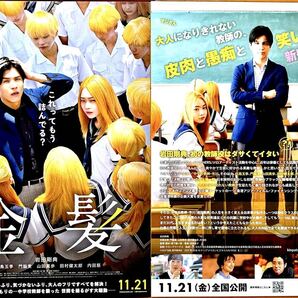 2種類 100枚 金髪 映画 フライヤー 岩田剛典 門脇麦