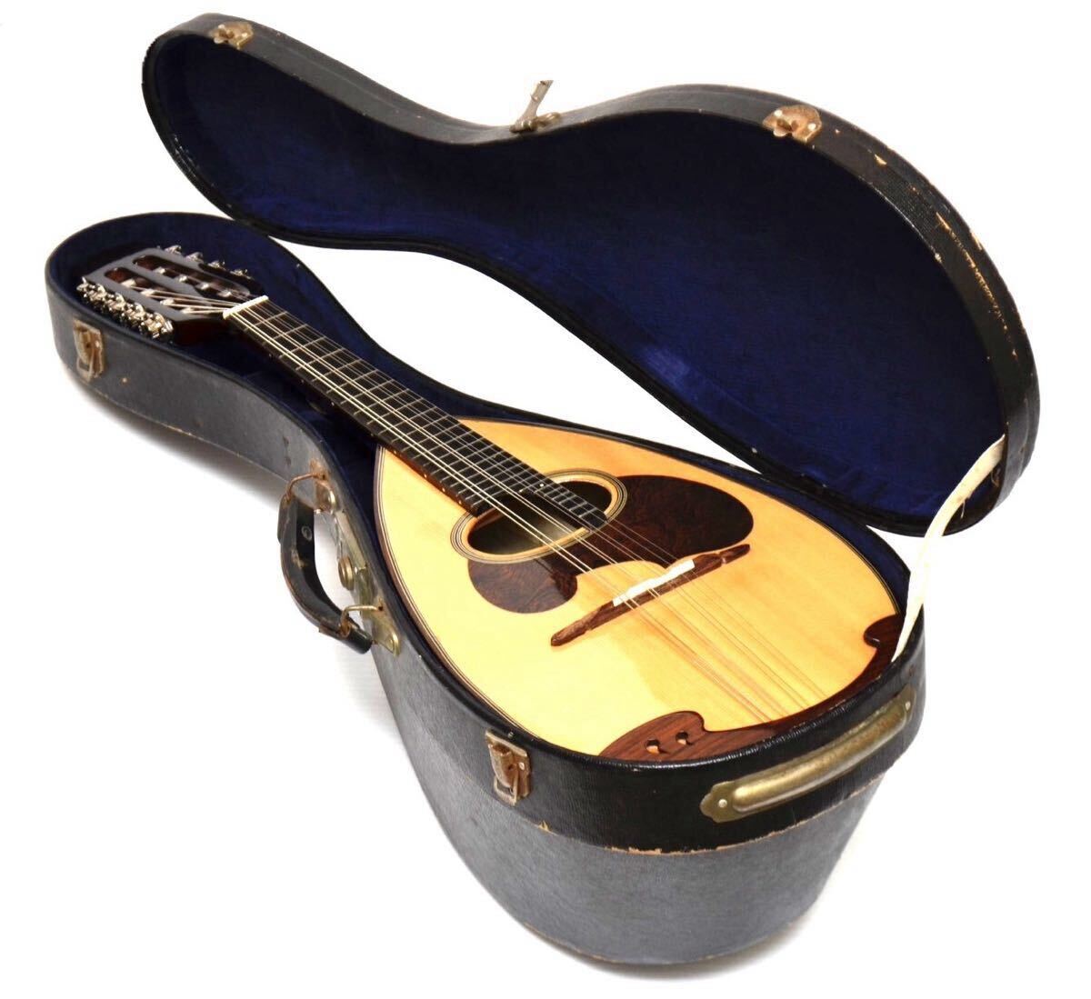 2025年最新】Yahoo!オークション -マンドリンケースの中古品