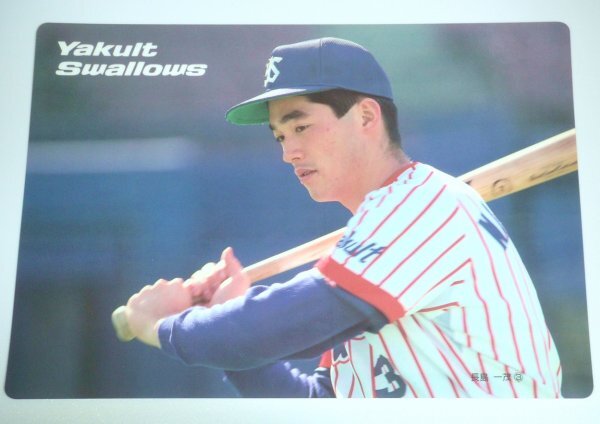 ヤクルト　下敷き 2024BlackFriday】下敷き（選手） | 東京ヤクルトスワローズ