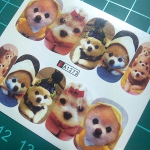 No170 現品のみ ウォーターネイルシール 犬 子犬 動物 茶色 アニマル ネイルアート セルフネイル ネイルシール シール