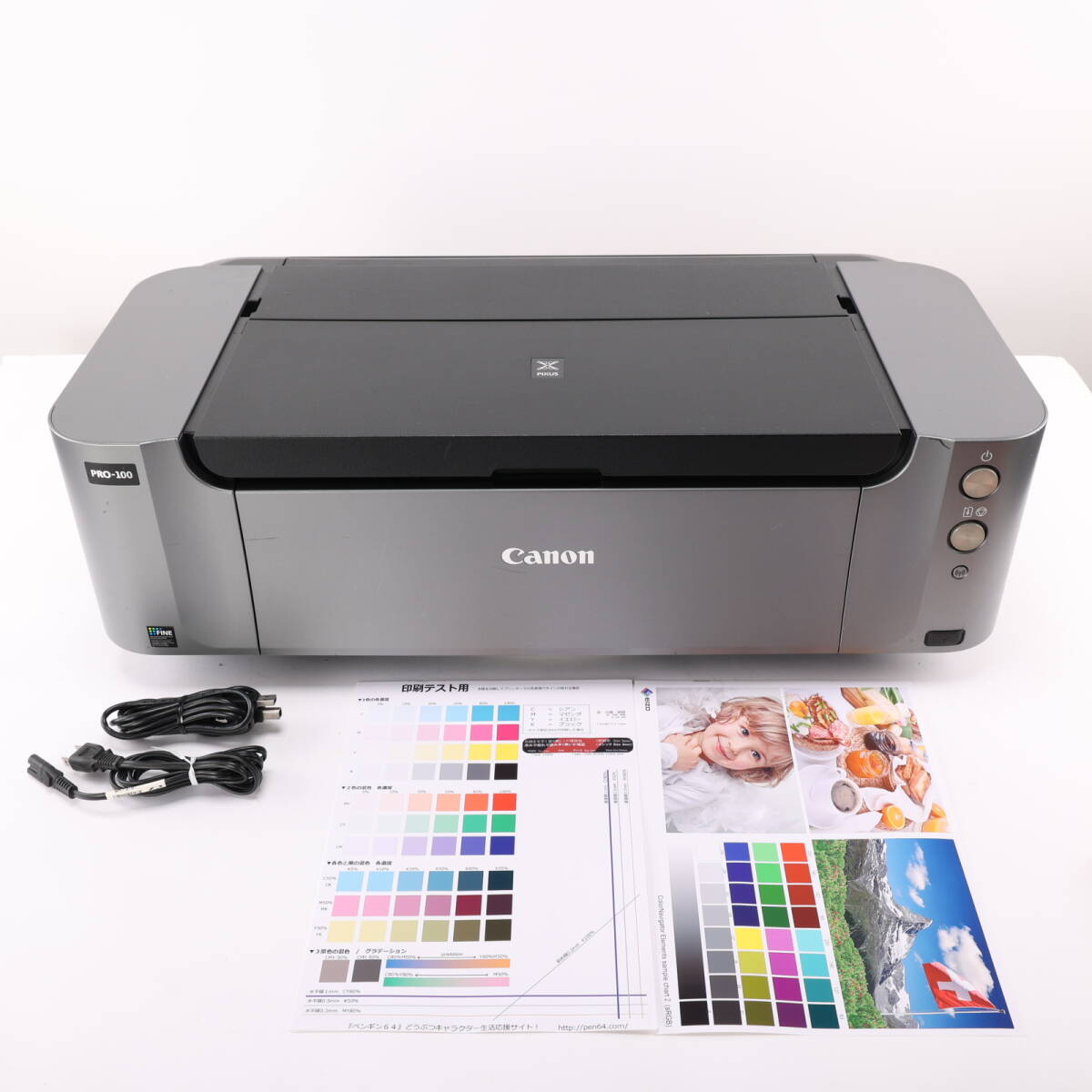 Yahoo!オークション -「canon pixus pro-100」(インクジェットプリンタ