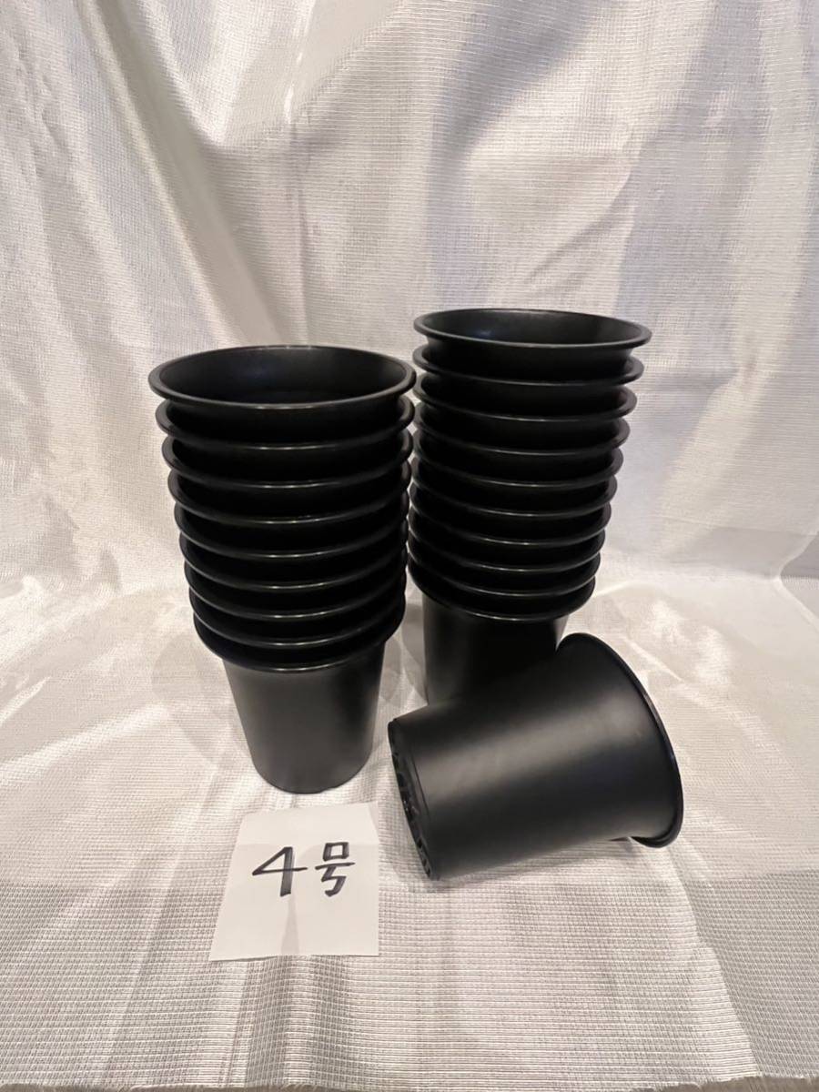 小西春玲『桜に小禽』美術年鑑掲載 絹本 共箱 さくら春花鳥 掛軸25050310 小西春玲『桜に小禽』美術年鑑掲載 絹本 共箱 さくら春花鳥 掛軸