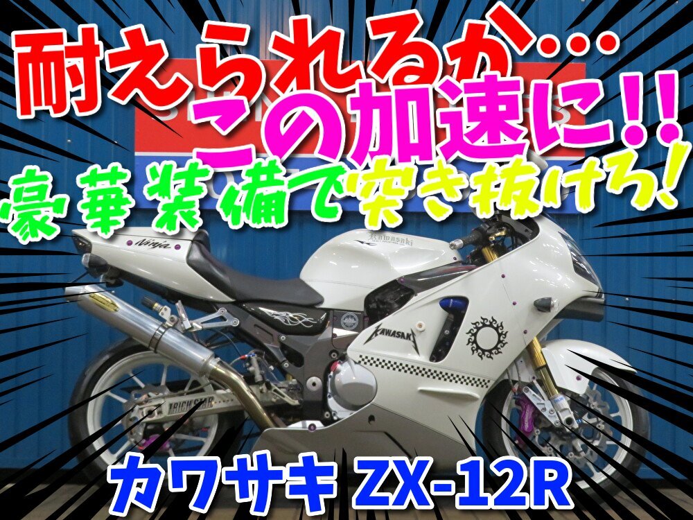 2025年最新】Yahoo!オークション -zx-12r(カワサキ)の中古品