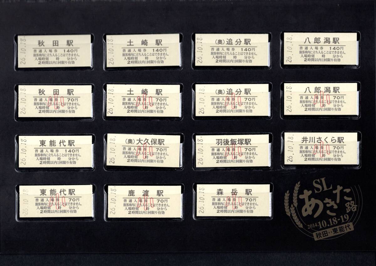 JR東日本　記念入場券セット JR東など ハチ公生誕100年入場券・乗車券 発売（2023年11月11日