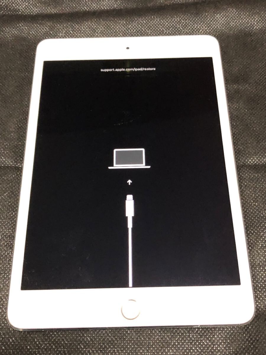 iPad mini4 Wi-Fi＋Cellular 16GB simフリー Amazon.co.jp: 【整備済み品】 Apple iPad mini 4 Wi-Fi +