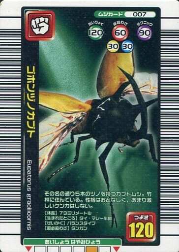 2025年最新】Yahoo!オークション -ムシキング カード 2005の中古