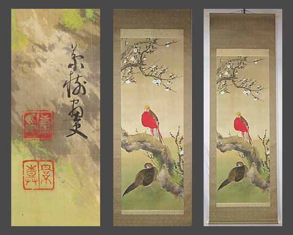 日本画 掛け軸 Amazon.co.jp: 島田稔明『蓮』日本画 掛け軸 花鳥画 睡蓮 はす