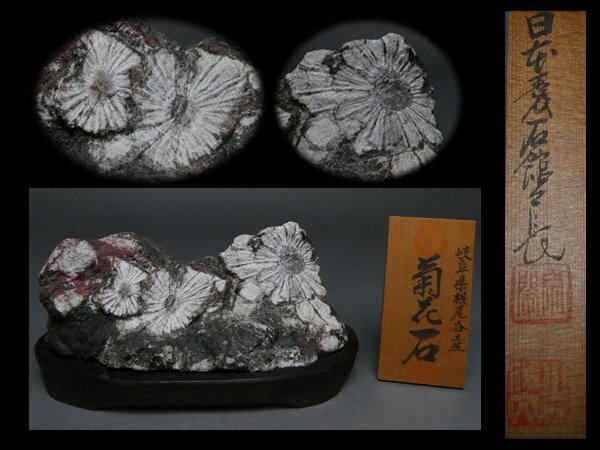 天然石　鑑賞石　菊花石など　置物　3点まとめて　C　5459A 天然石 鑑賞石 菊花石など 置物 3点まとめて C 5459A