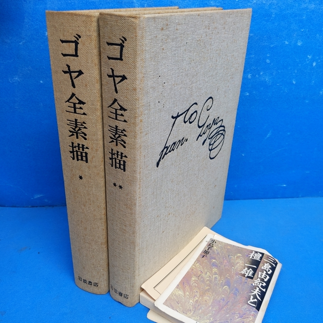 Yahoo!オークション -「ゴヤ全素描」(画集、作品集) (絵画)の