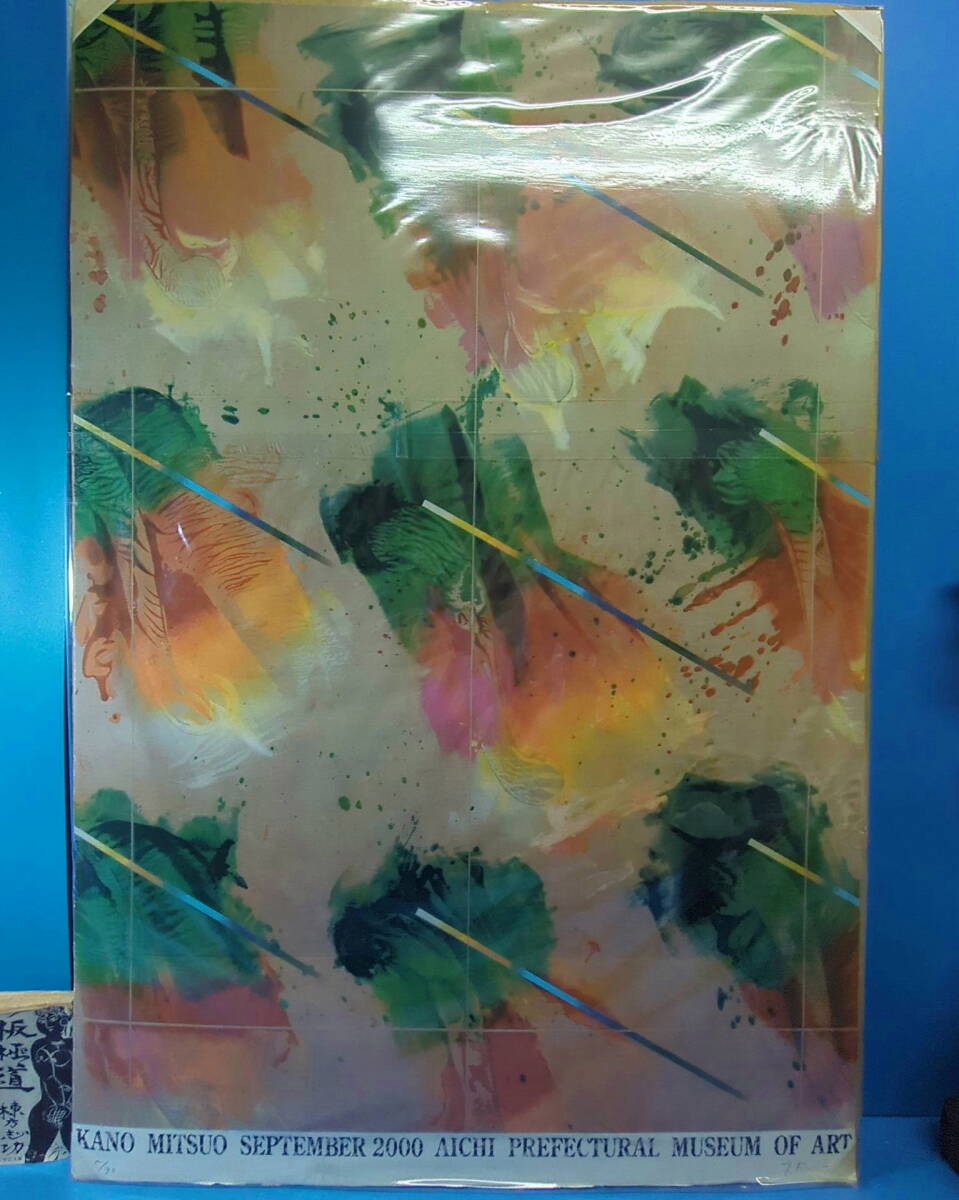 加納光於　普及版 加納光於｜美術手帖