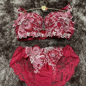 予約限定 入手困難 サルート G70 04G スーペリア RP 新品タグ付き salute ブラ ソング セット