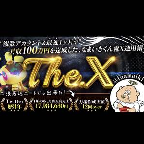 【The. X】複数アカウント&最短1ヶ月で月収100万 円を達成した、なまいきくん流X運用術