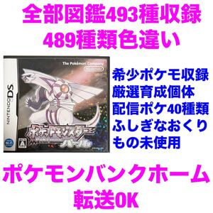 ポケットモンスター パール やり込み