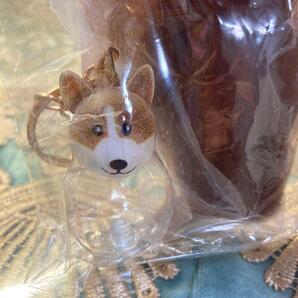 いつもわんちゃんと一緒! おでかけ毛入れキーホルダー