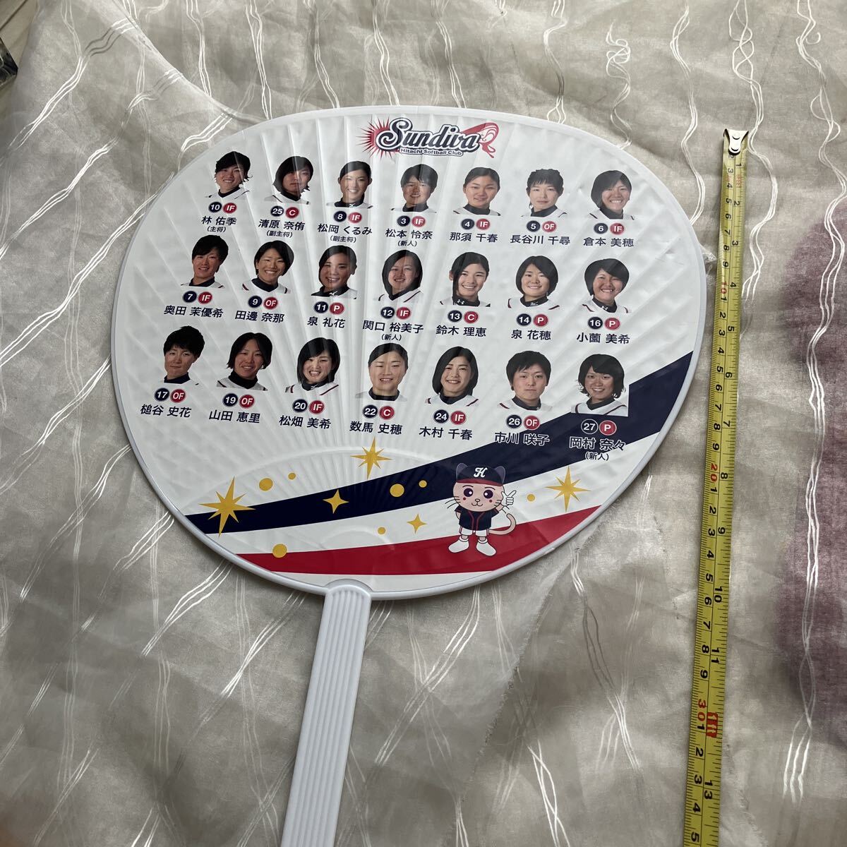 ソフトボール日本代表　直筆サイン色紙 ソフトボール日本代表 直筆サイン色紙