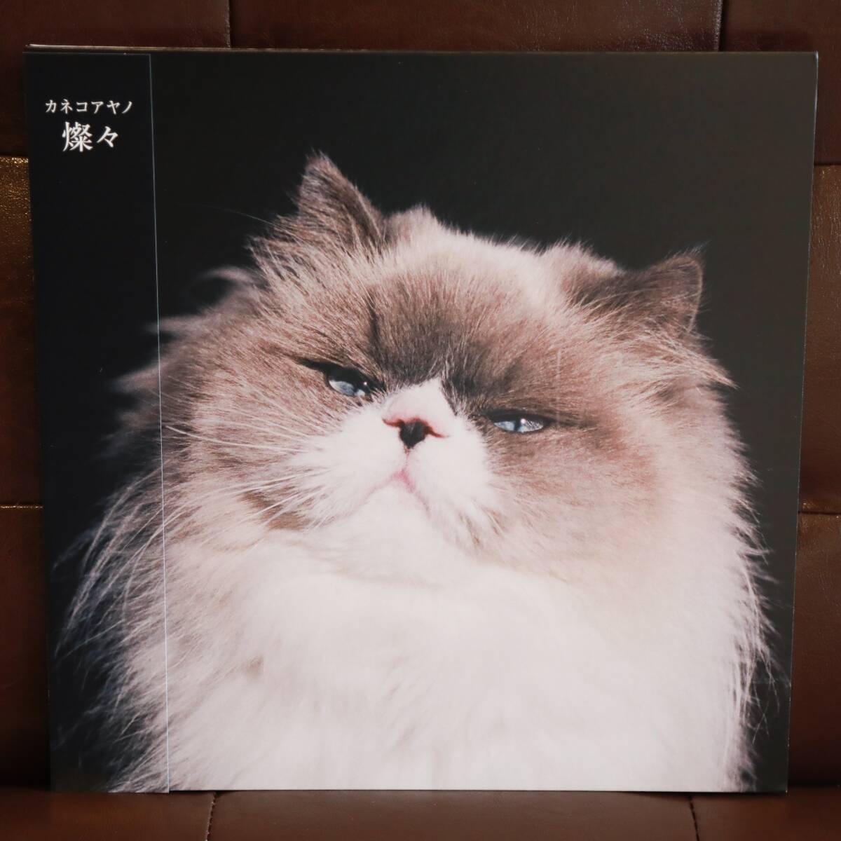 2025年最新】Yahoo!オークション -カネコアヤノの中古品・新品