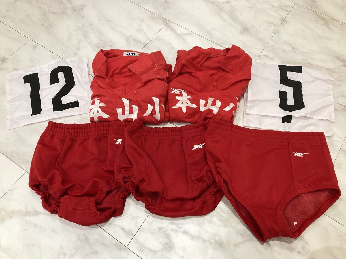 asics Recorder LD3675 バレーボール用ブルマー アシックス asics Recorder LD3675 バレーボール用ブルマー アシックス