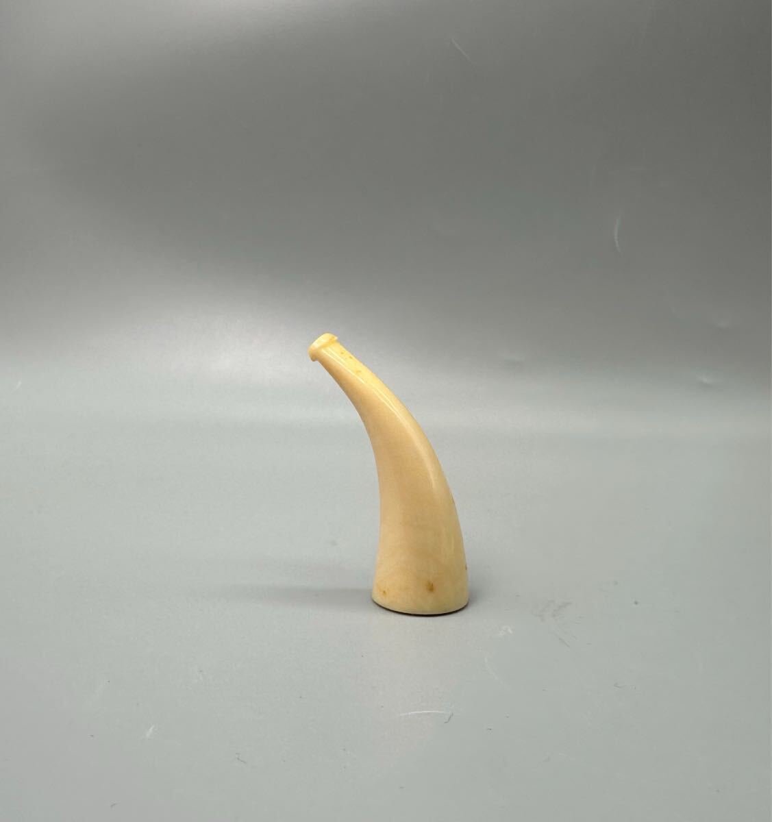 Yahoo!オークション -「クジラ 歯」の落札相場・落札価格