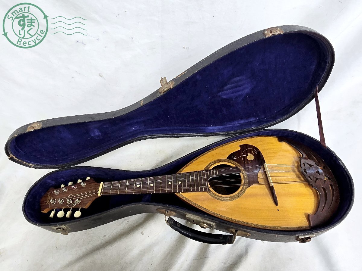 Yahoo!オークション -「no.226」(マンドリン) (弦楽器)の落札