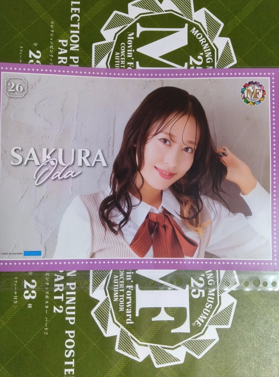 小田さくら　ソロイベント　さくらのしらべ　1&2 DVD 2025年最新】Yahoo!オークション -さくらのしらべ dvdの中古品