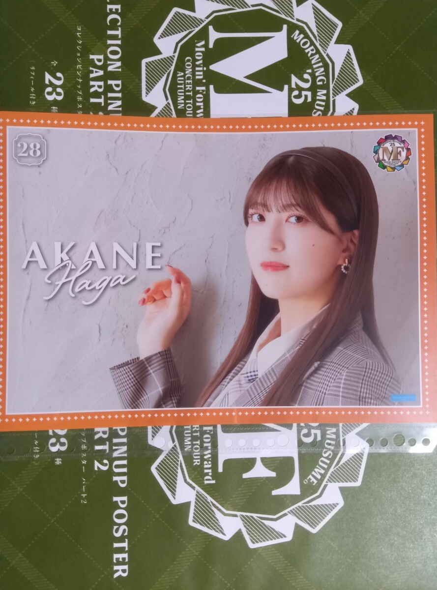 モーニング娘。'25　集合　秋　コレクションピンナップポスター モーニング娘。'25 ピンポス 集合 - メルカリ