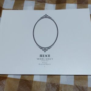 松本乱菊 BLEACH 設定資料 ブックレット アニメ 本 黒崎一護 平子真子