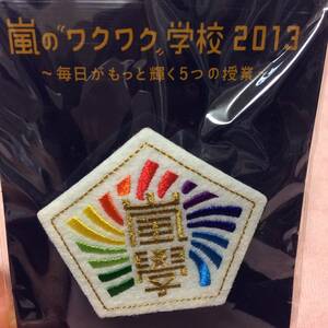 ☆美品☆嵐わくわく学校2013校章