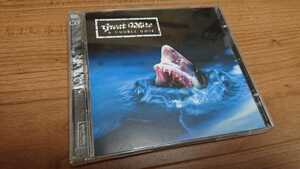 Great White / グレイト・ホワイト A Double Dose 輸入盤 Jack Russell,Mark Kendall