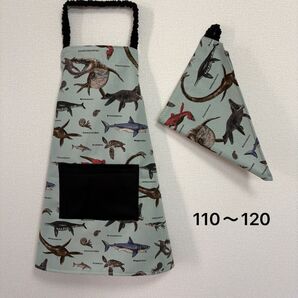 子どもエプロン キッズエプロン三角巾セット ハンドメイド 恐竜 海竜 かっこいい