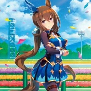 アドマイヤベガ タペストリー ウマ娘