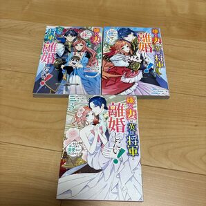 嫌われ妻は、英雄将軍と離婚したい!1 、2、3(ZERO-SUMコミックス) 柊一葉