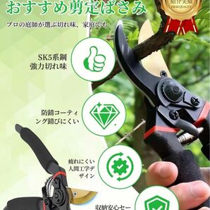 人気庭師推薦プロ造園士監修 剪定鋏 剪定バサミ 超鋭い切れ味 錆びにくい 疲れ難い 女性も使い易い 枝切りバサミ 盆栽ガーデニング