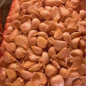 青森バラにんにく3Kg