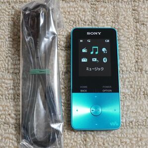 SONY WALKMAN ウォークマン S310シリーズ NW-S313 L ブルー (#25)