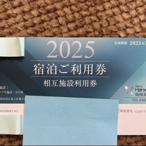 VIALA箱根翡翠 宿泊利用券1枚 相互利用券1枚 東急ハーヴェスト