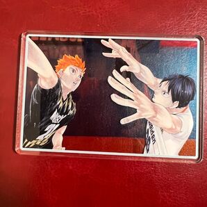 ハイキュー 日向翔陽 影山飛雄 ステータスカードコレクション