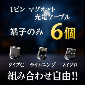 【超激安】便利 選べる端子 マグネット充電ケーブル端子 6個 アダプター